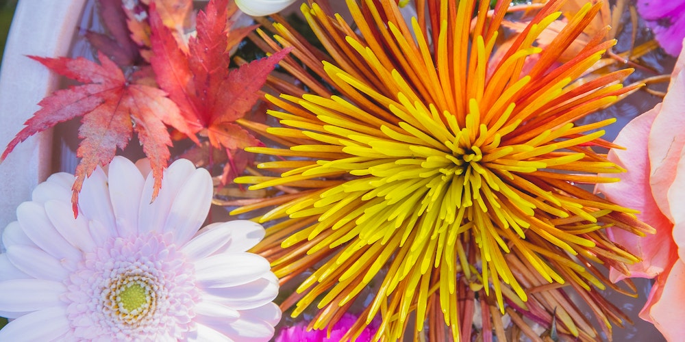 What You Should Know Before Putting Dirt in the Bottom of Your Big Pot?