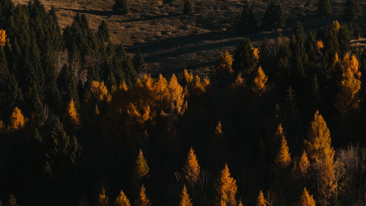 Geniatech Android TV Box- Next Gadget To Buy