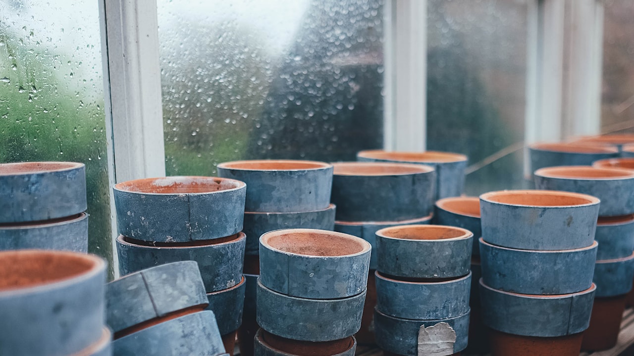 Reframing the nursery plantation for a garden by the use of 15 Gallon Pots