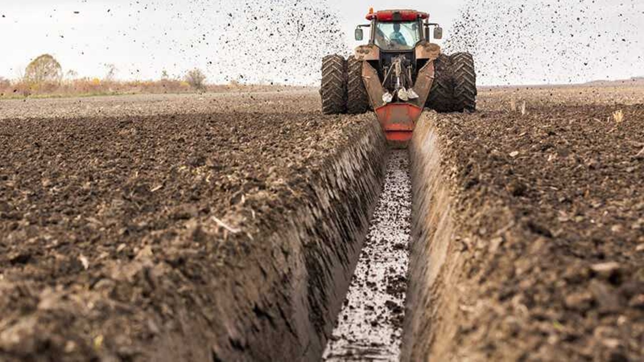Heavy Duty Forestry Work Made Easier with JYF Machinery Feller Buncher Teeth